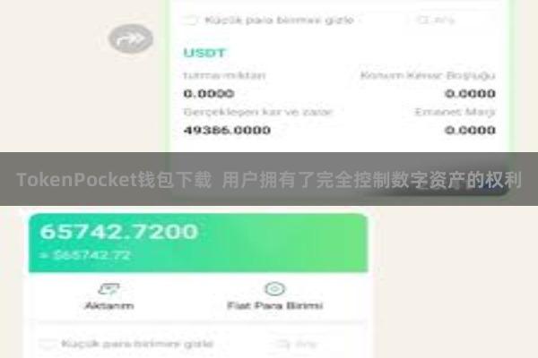 TokenPocket钱包下载 用户拥有了完全控制数字资产的权利