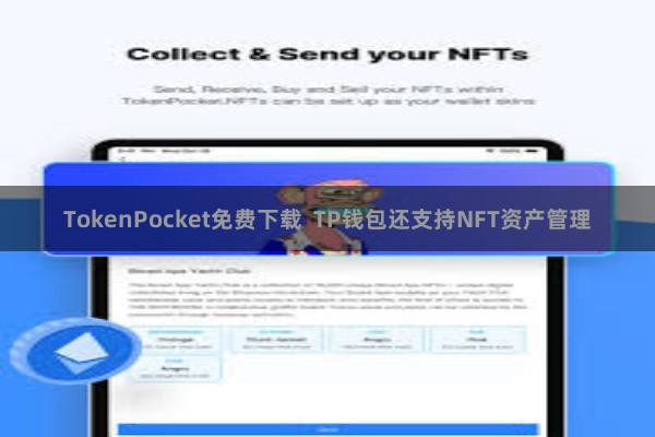 TokenPocket免费下载  TP钱包还支持NFT资产管理